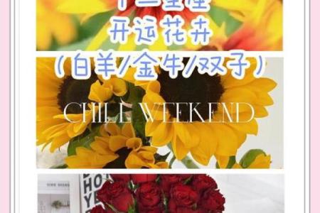 十二星座的守护花都有哪些呢