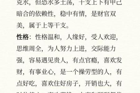 乙亥日八字