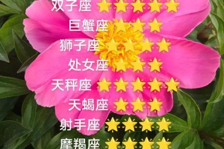 我明天的星座运势如何