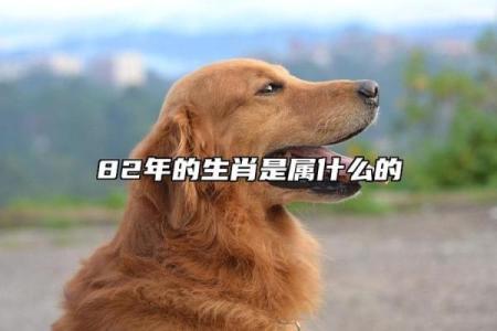 1982年属什么生肖多大年龄 1982年属什么生肖配对