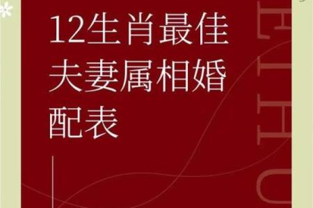 12生肖婚姻配对宜忌