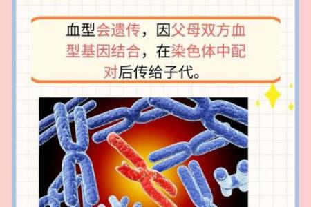 从血型的角度看寿命长短 长知识的科学论