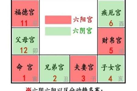 紫薇斗数父母宫看配偶家境