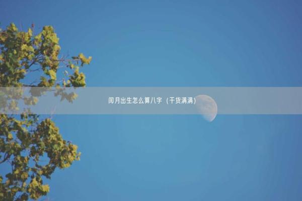 闰月八字
