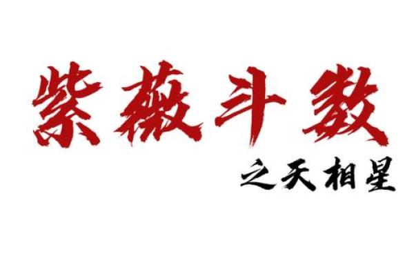 紫微斗数紫薇星