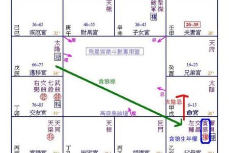 紫薇斗数中禄忌权科什么意思