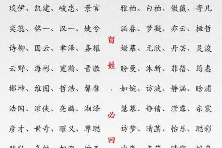凌晨2点出生的属蛇男孩如何起名合适姓名