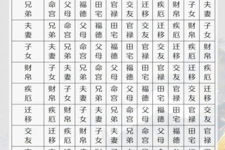 紫薇斗数工作怎么看