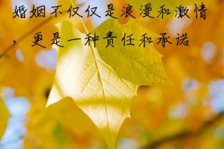 爱情和婚姻是一回事吗  姓名配对两人爱情结果
