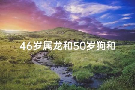 属龙和属狗相配吗 属龙和属狗配对好吗