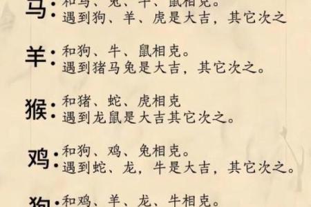 99年属什么今年多大 生肖配对
