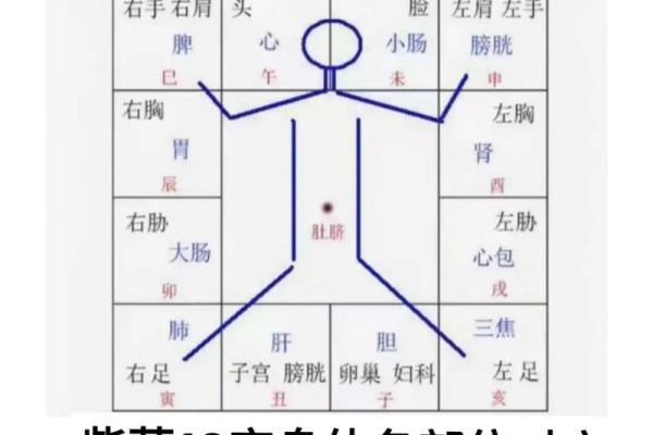 紫薇斗数空宫详解,父母空宫的人命好吗
