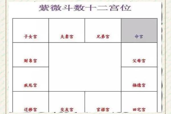 性格宫紫薇斗数