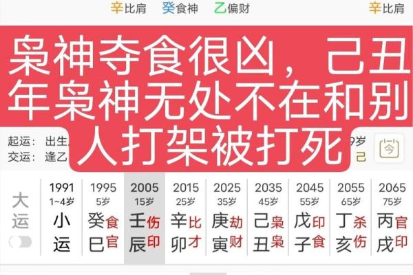 生肖彘的含义及八字命理分析