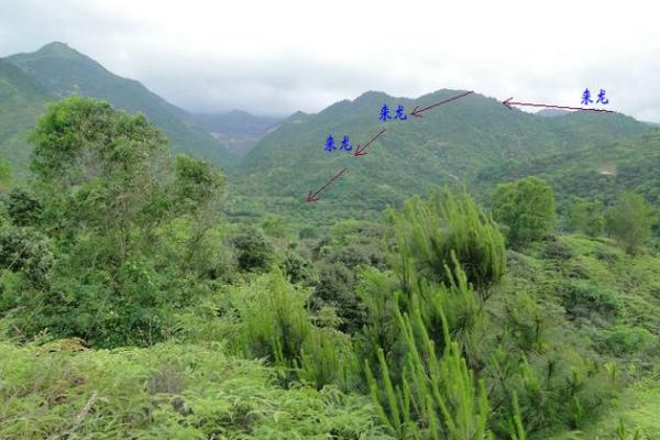 山的风水_每座山都有龙脉吗