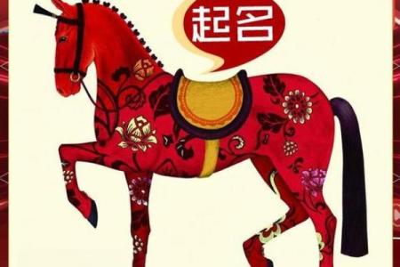 马宝宝八字