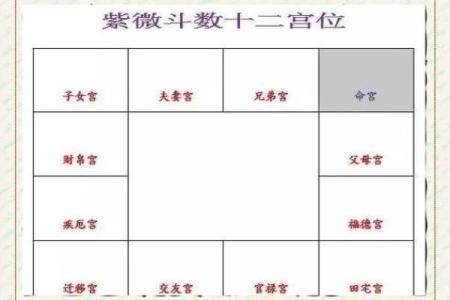 性格宫紫薇斗数