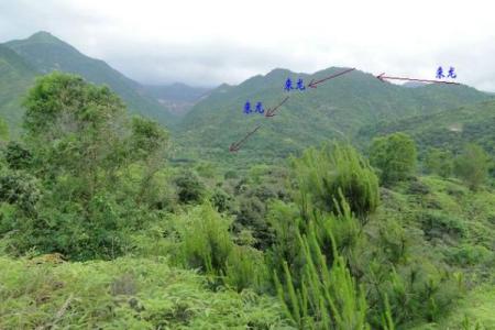 山的风水_每座山都有龙脉吗