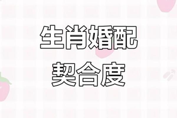 感情如胶似漆 难舍难分夫妻恩爱的生肖配对