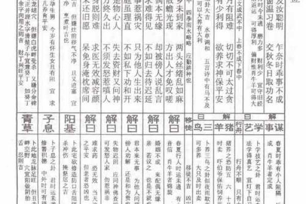 车公灵签第四十九签：不明莫要与他真