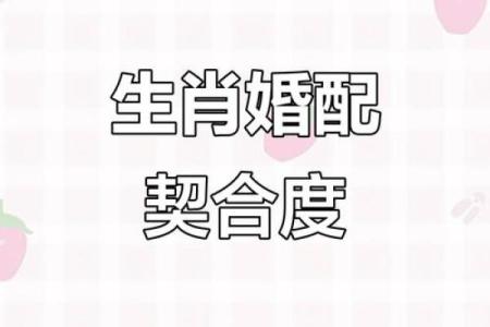 感情如胶似漆 难舍难分夫妻恩爱的生肖配对
