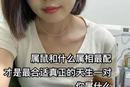 属鼠和什么属相最配对 属鼠和什么属相相冲