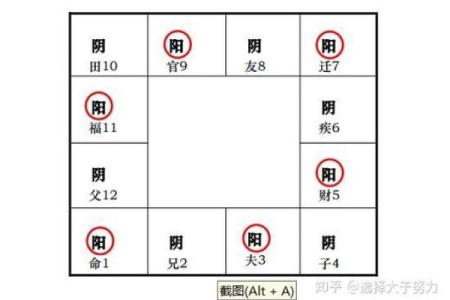 五星派紫薇斗数
