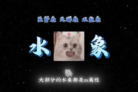水象星座是什么意思 水象星座的特点和性格