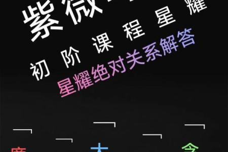 紫薇斗数化吉