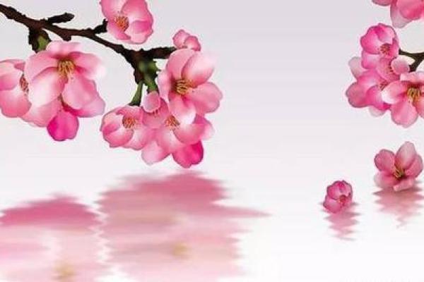 能够让你早日摘得桃花归的风水