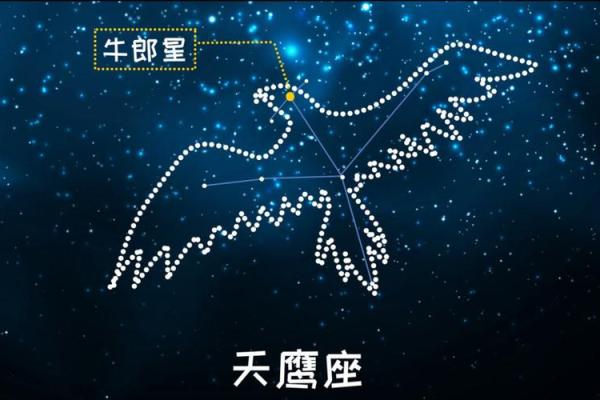 牛郎星是什么星座