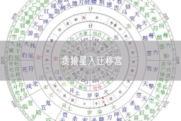 紫薇斗数婚姻墓
