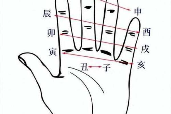 紫薇斗数掌决