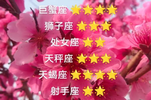 白羊座下一个星座运势