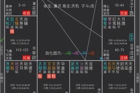 紫微斗数之福德宫与诸星，天相星在福德宫是什么意思？
