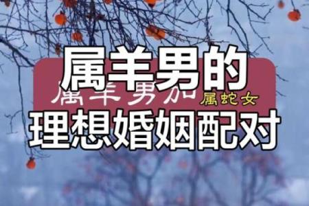 1979属羊最佳配对
