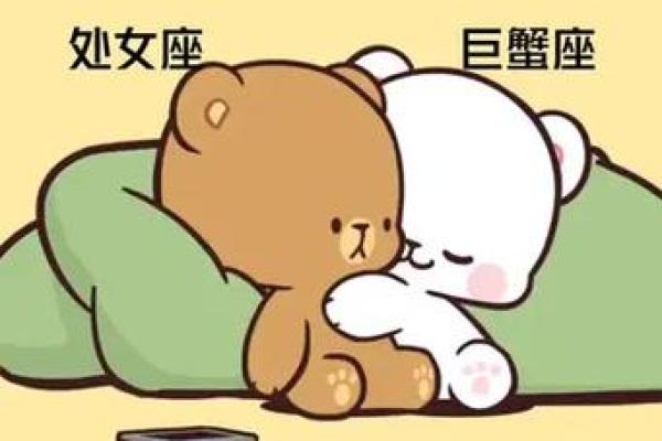 巨蟹座和处女座配对指数