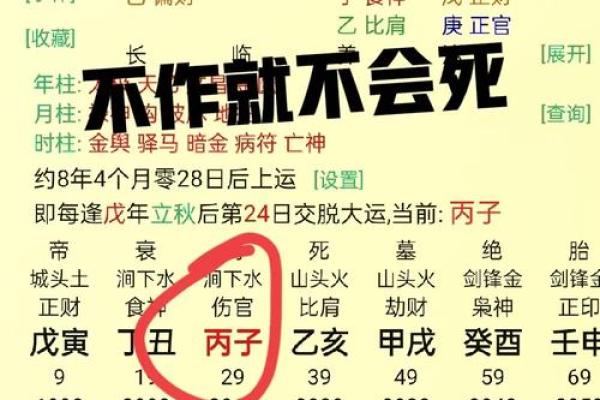 算命说有两个替子