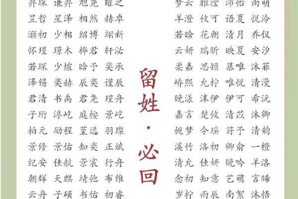 2019年3月20号未时出生的男孩起名方法姓名