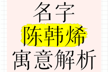名字寓意免费测试 名字寓意解析大全免费