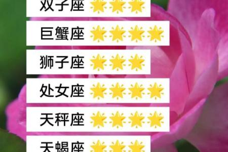 紫薇星座白羊今日运势