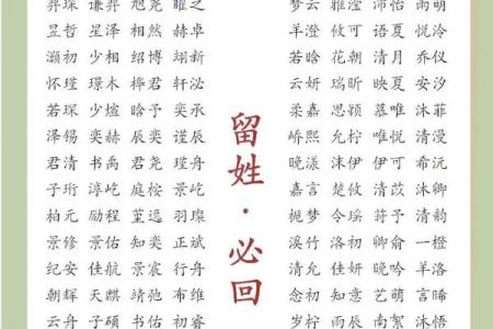 2019年3月20号未时出生的男孩起名方法姓名
