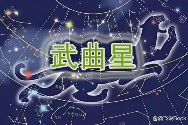 紫薇斗数星耀太多