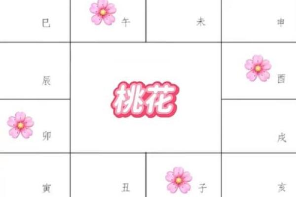 如何紫薇斗数看配偶