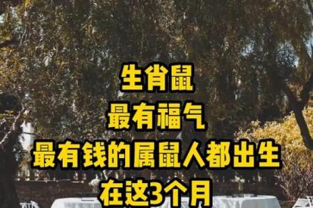 属鼠出生最好六个吉日 属鼠的出生吉日