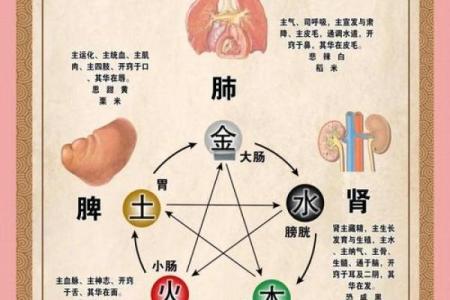 火命的适合往什么方位发展 火命的体质特征介绍