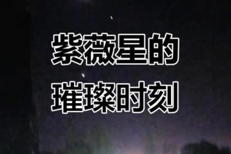 千千万万的紫薇星