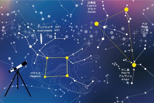 五月一号是什么星座运势