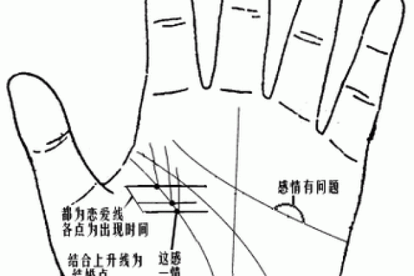 手相流年图算命——百发百中