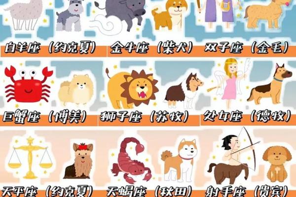 十二星座女生最适合养哪种狗